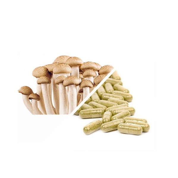 Sample Pack Neuro Blend